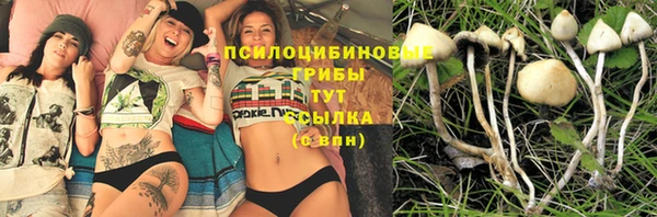 мдма Пролетарск